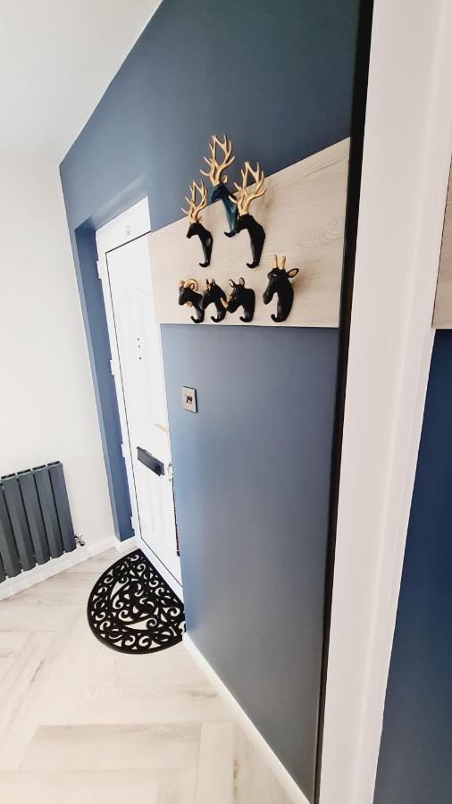 Beautiful 2Bed House With Garden, Walking Distance To Town - Free Parking Apartamento Glasgow Exterior foto